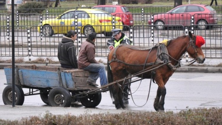 Снимка: архив, Булфото
