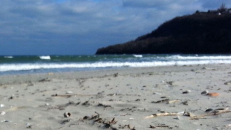 Снимка: Архив, Булфото