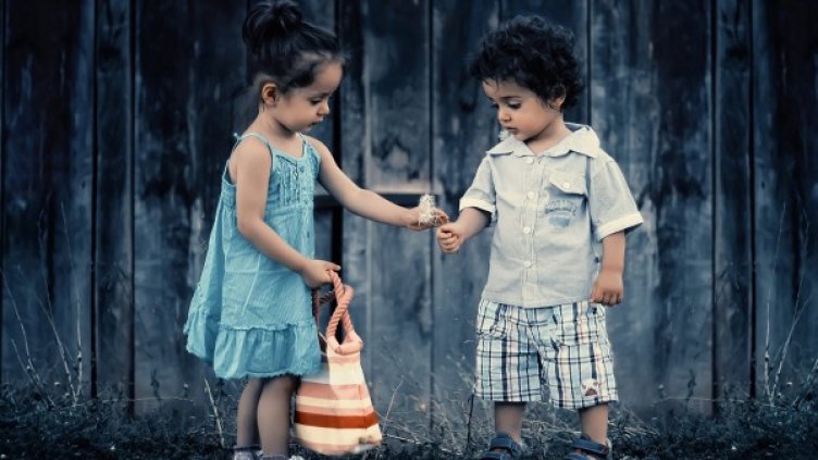 Снимка: pixabay