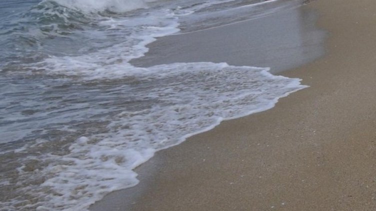 Снимка: архив, БулФото