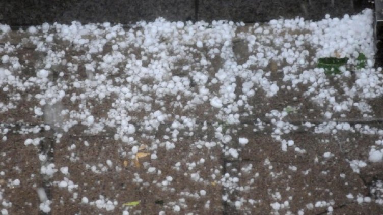 Снимка: архив, Булфото