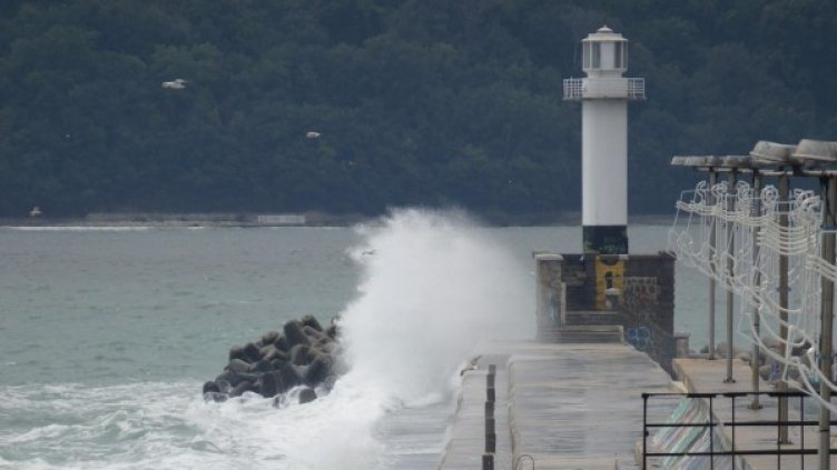 Снимка: Булфото