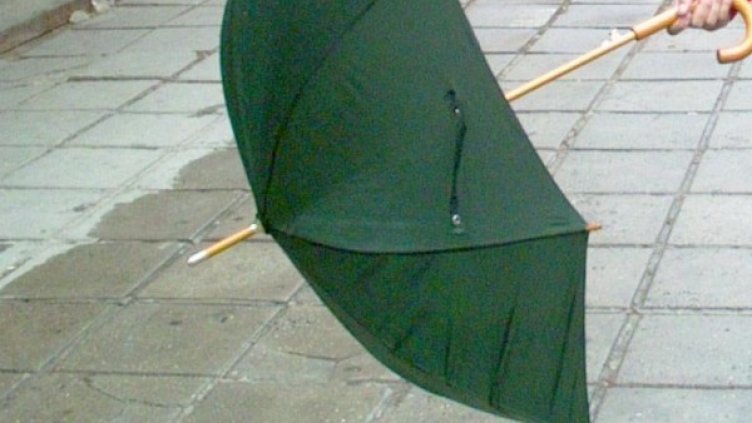 Архив: Булфото