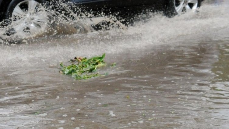 Архив: Булфото