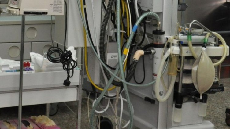 Снимка: архив, БулФото