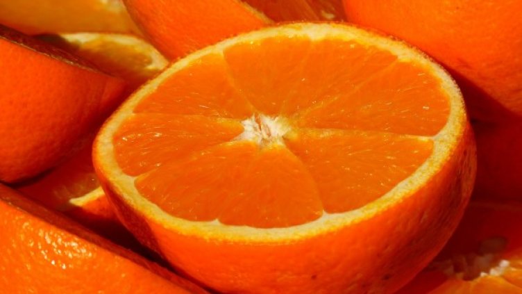 Снимка: pixabay