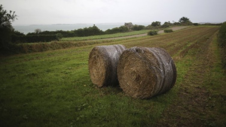 Снимка: Reuters, архив