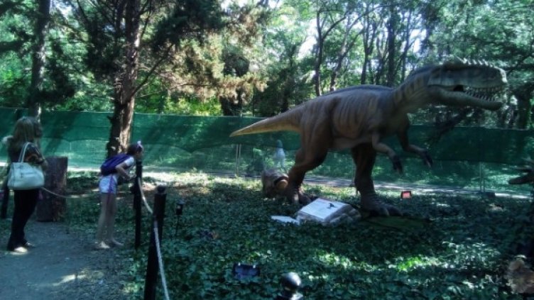 Снимка: Черно море