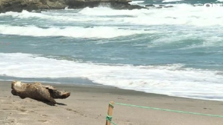 Снимка: Bulgaria ON AIR