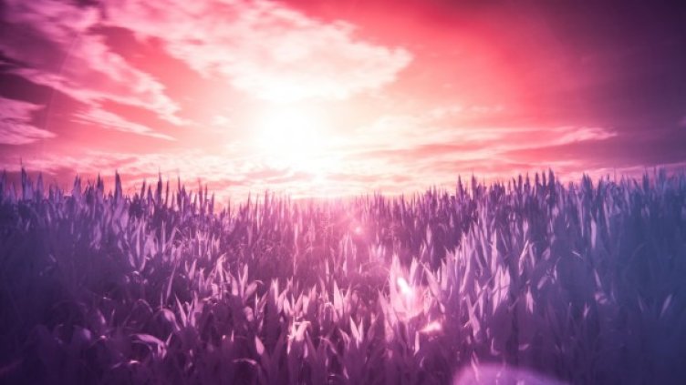 Снимка: pexels