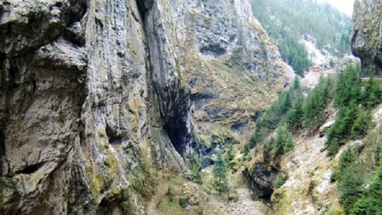 Снимка: архив, Булфото