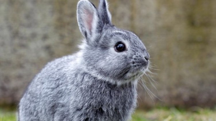 Снимка: архив, Reuters