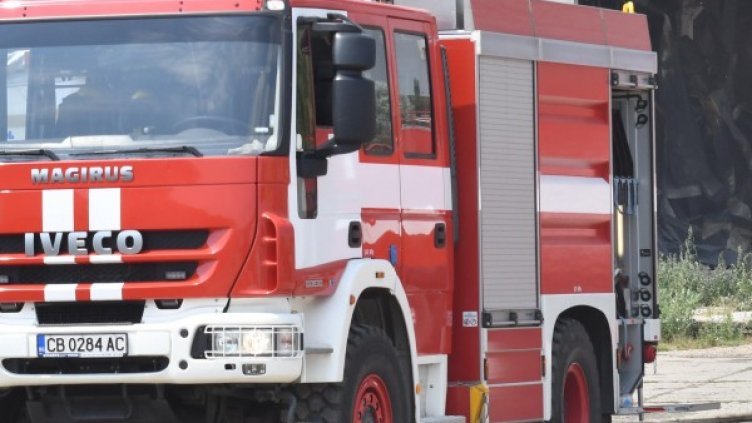 Снимка: Булфото, архив