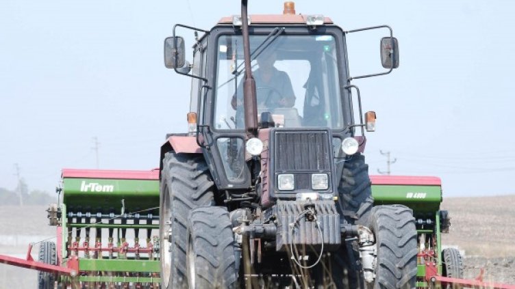 Снимка: архив "Булфото"