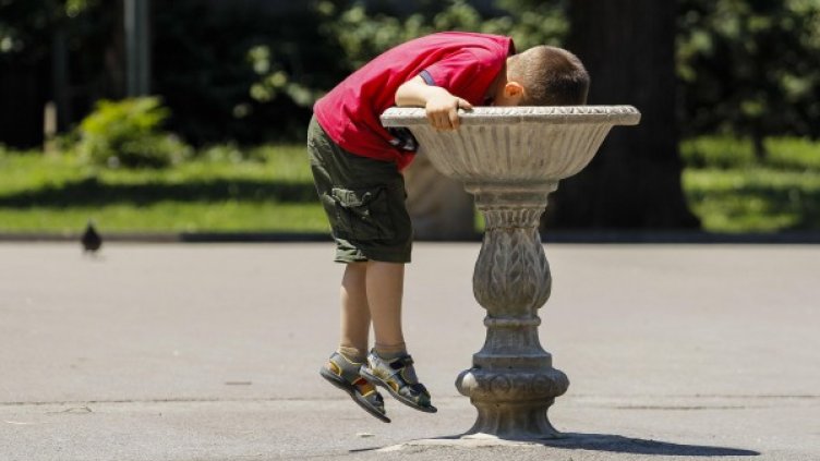 Снимка: архив "Булфото"