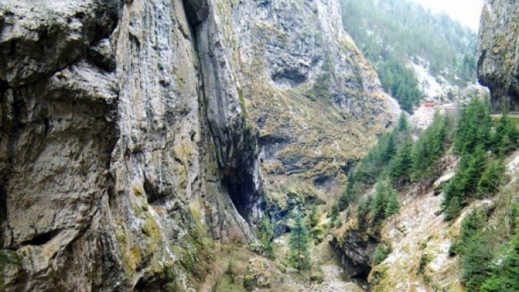 Снимка: Булфото, архив