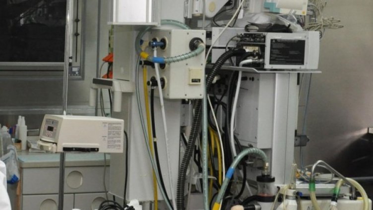 Снимка: архив, БулФото