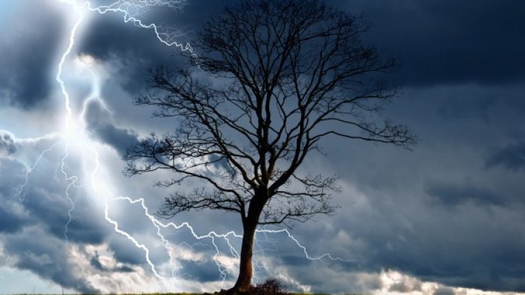 Снимка: flickr