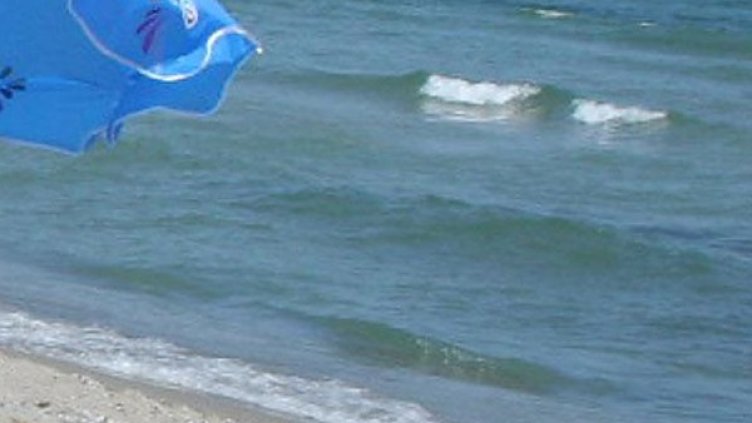 Снимка: Булфото