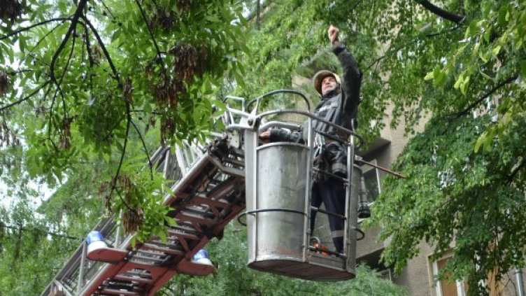 Снимка: архив, Булфото