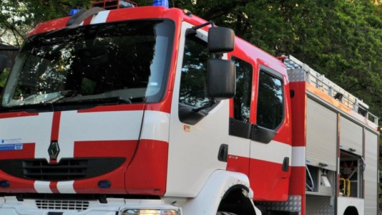 Снимка: Архив, Булфото