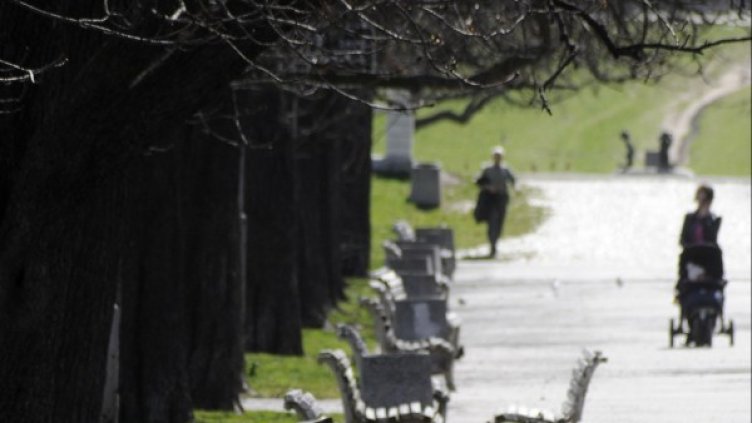 Снимка: архив Булфото