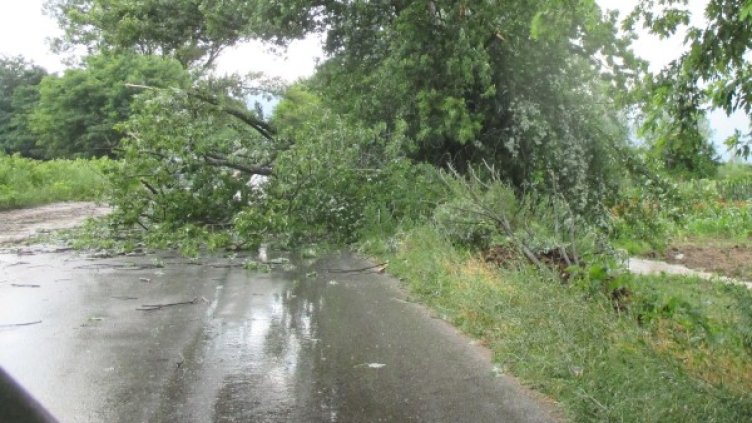 Снимка: Булфото, архив