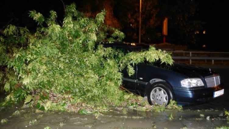 Като във филм на ужасите: Градушка помля Царев брод