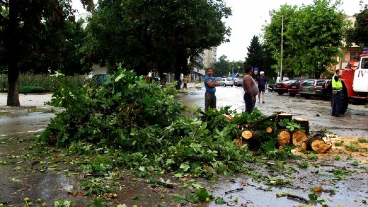 Снимка: Булфото