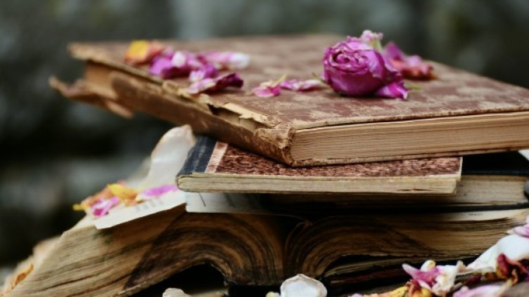 Снимка: pixabay