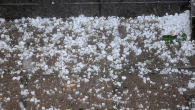 Снимка: Архив, Булфото