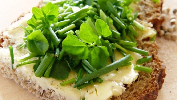 Снимка: pixabay