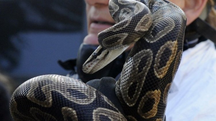 Снимка: архив, Ройтерс