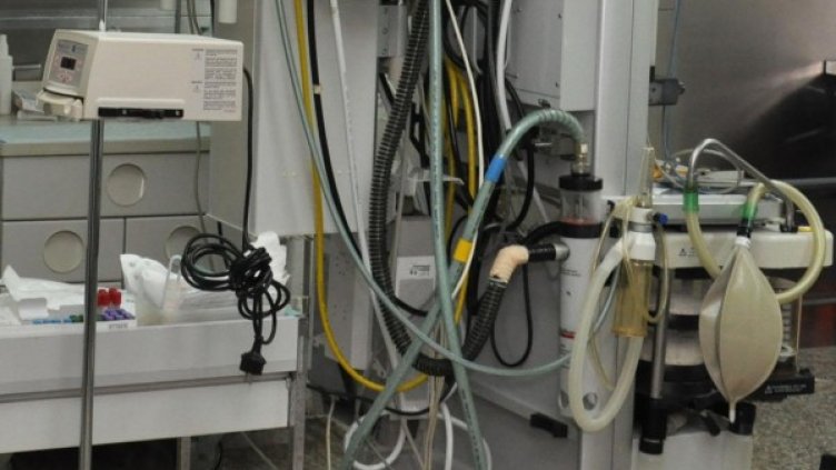 Снимка: архив, БулФото