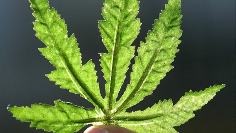 Снимка: архив, Ройтерс