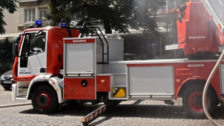 Снимка: Булфото, архив