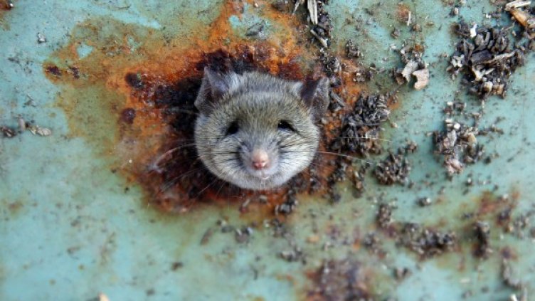 Снимка: Reuters, архив