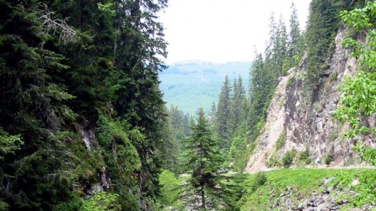 Снимка: Булфото, архив