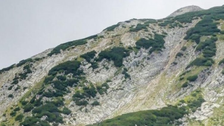 Снимка: архив Bulphoto