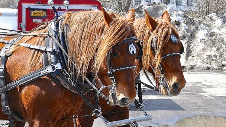 Снимка: visualhunt.com