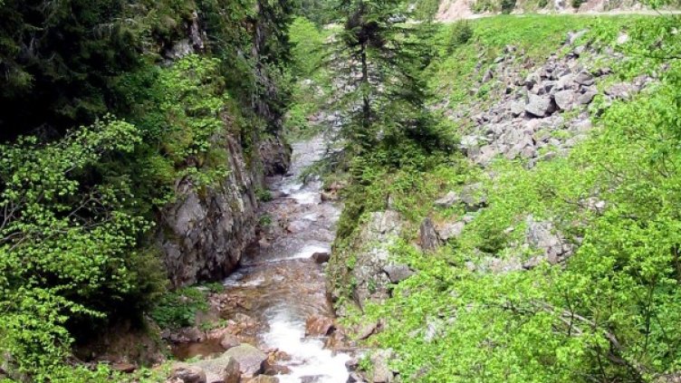 Снимка: архив Булфото