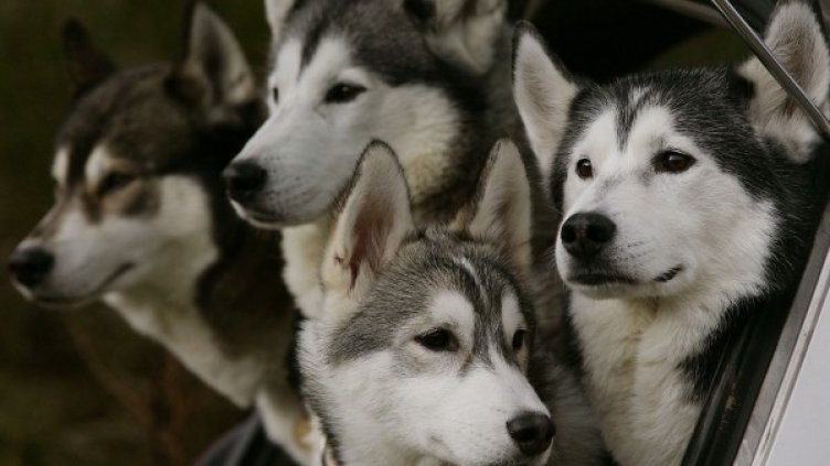 Снимка: Reuters