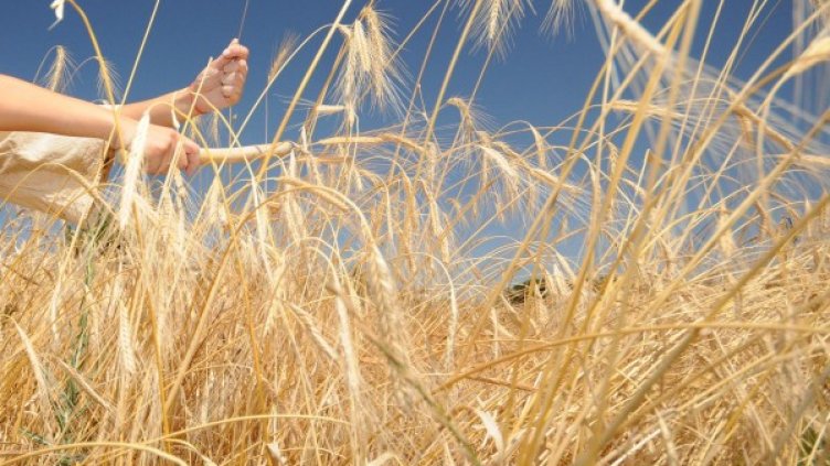 Снимка: архив, БулФото