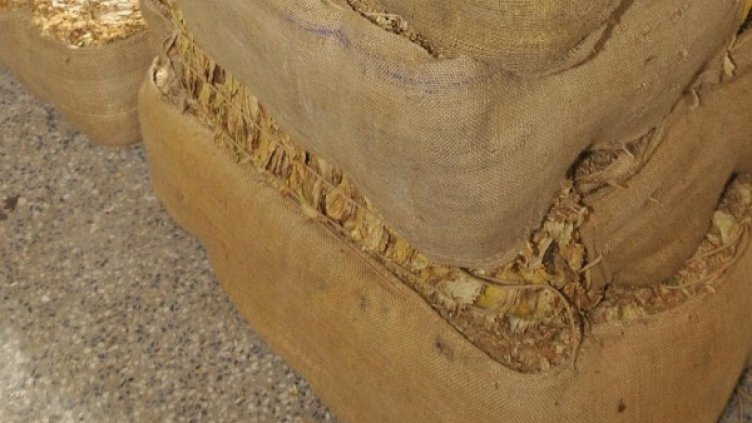 Архив: Булфото