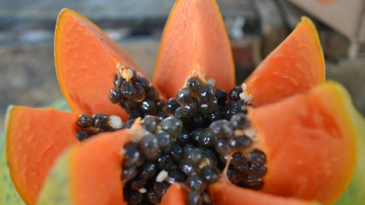 Снимка: pixabay