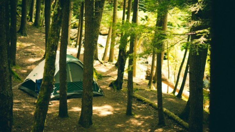 Снимка: visualhunt.com