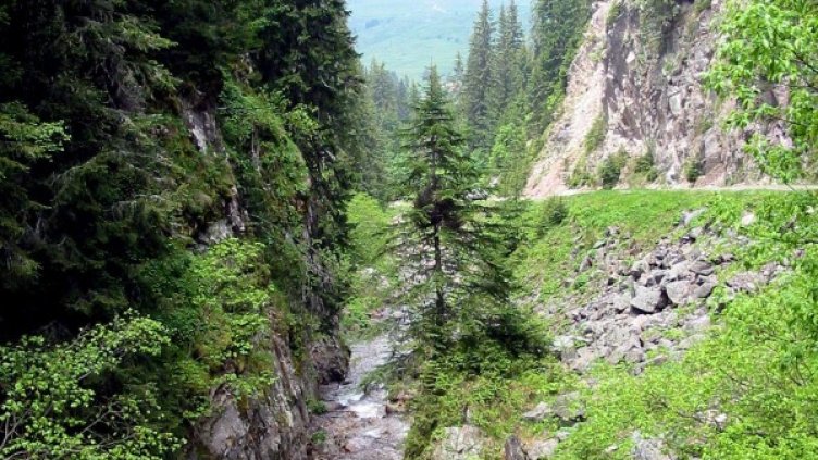 Снимка: архив Булфото