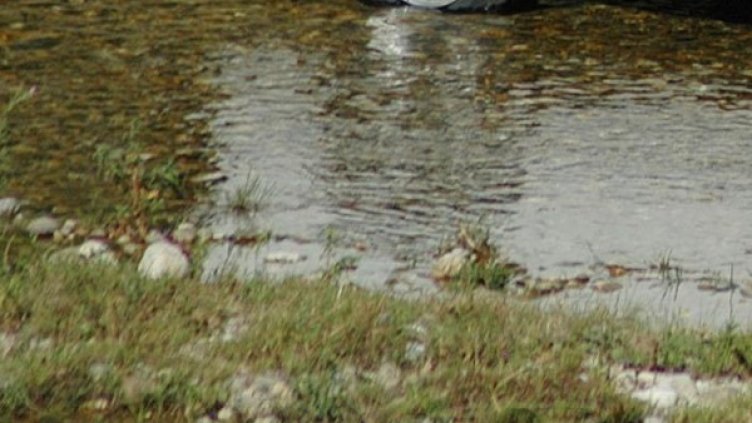 Снимка: Булфото