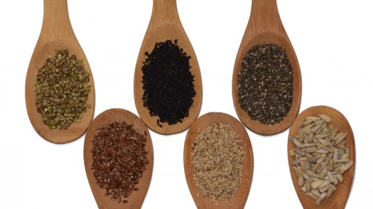 Снимка: pixabay