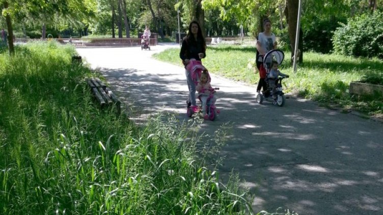 Снимка: архив "Булфото"